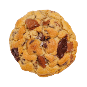 Chocolate Chip